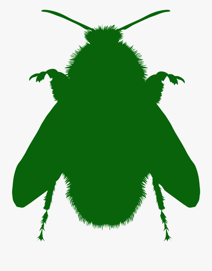 Illustration, Transparent Clipart