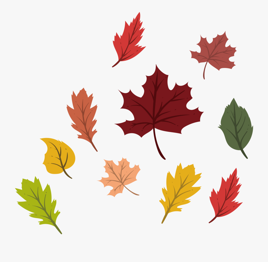 Png Black And White Autumn Vector Colorful Leave - Deciduous Leaves, Transparent Clipart
