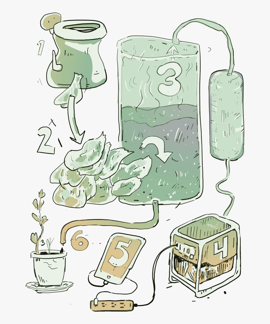 Clip Art, Transparent Clipart