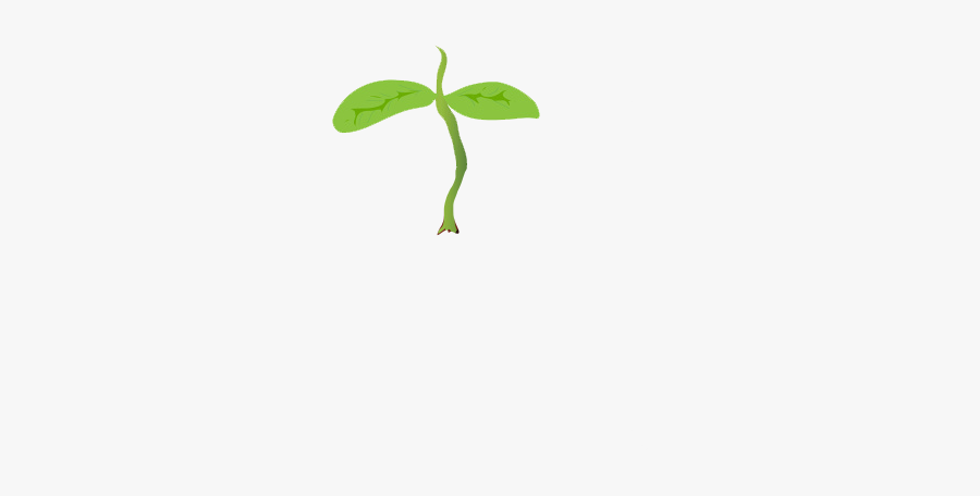 Herbaceous Plant, Transparent Clipart