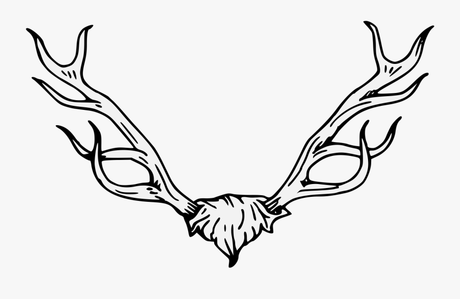 Stag Vector Heraldic - Heraldic Deer Head, Transparent Clipart