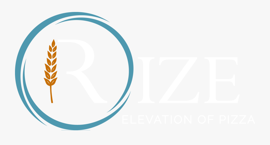 Circle, Transparent Clipart