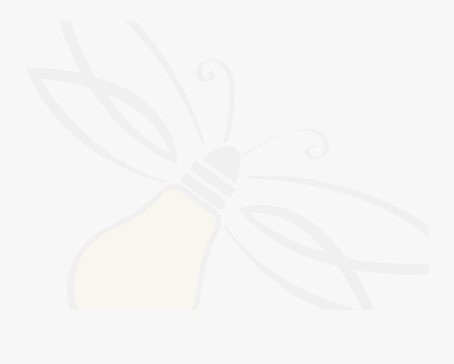 Firefly, Transparent Clipart