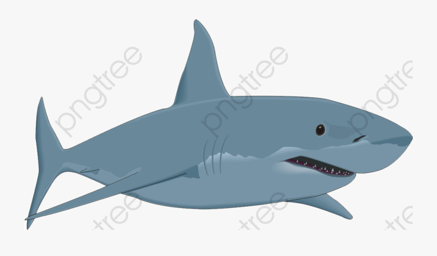 Baby Shark Clipart Blue - Transparent Background Shark Clipart, Transparent Clipart