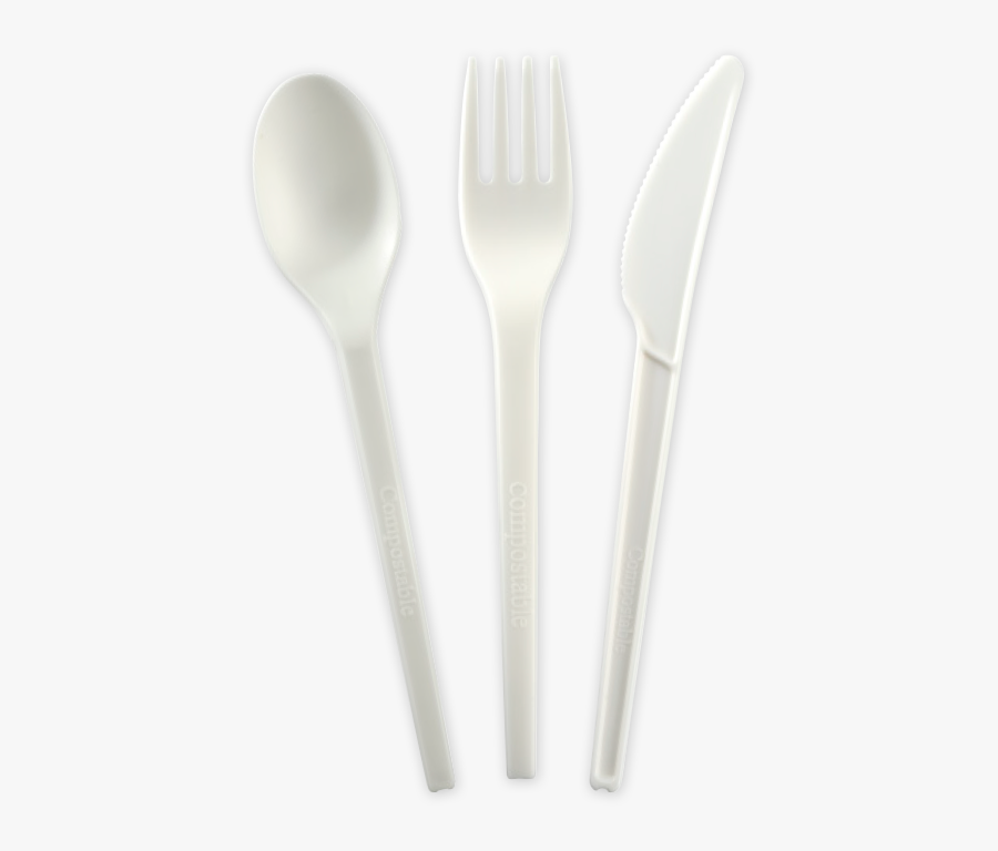 Still Life Photography, Transparent Clipart