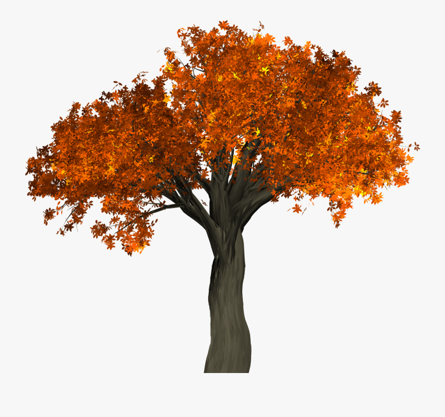 Autumn Tree Png - Autumn Tree No Background, Transparent Clipart