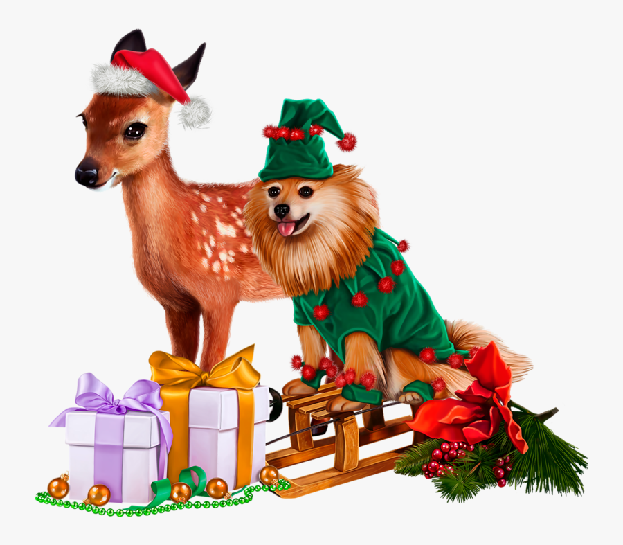 Pets Clipart Gog - Christmas Tree, Transparent Clipart