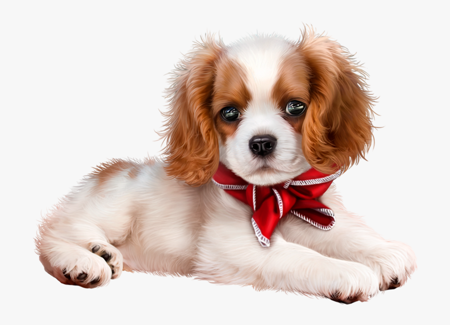 #ftestickers #cute #puppy #dog #christmas #red - Gifs Animés Bonne Fin De Semaine, Transparent Clipart
