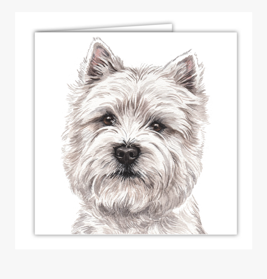 Westie Drawing Cute Dog - West Highland White Terrier, Transparent Clipart