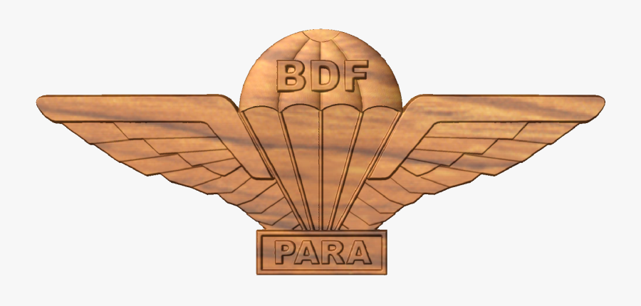 Eagle, Transparent Clipart