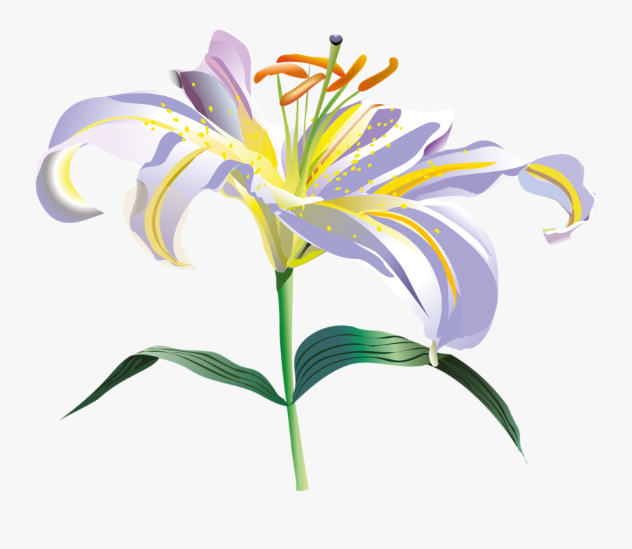 Flores Vectoriales Con Fondo Transparente - Lili Flower, Transparent Clipart