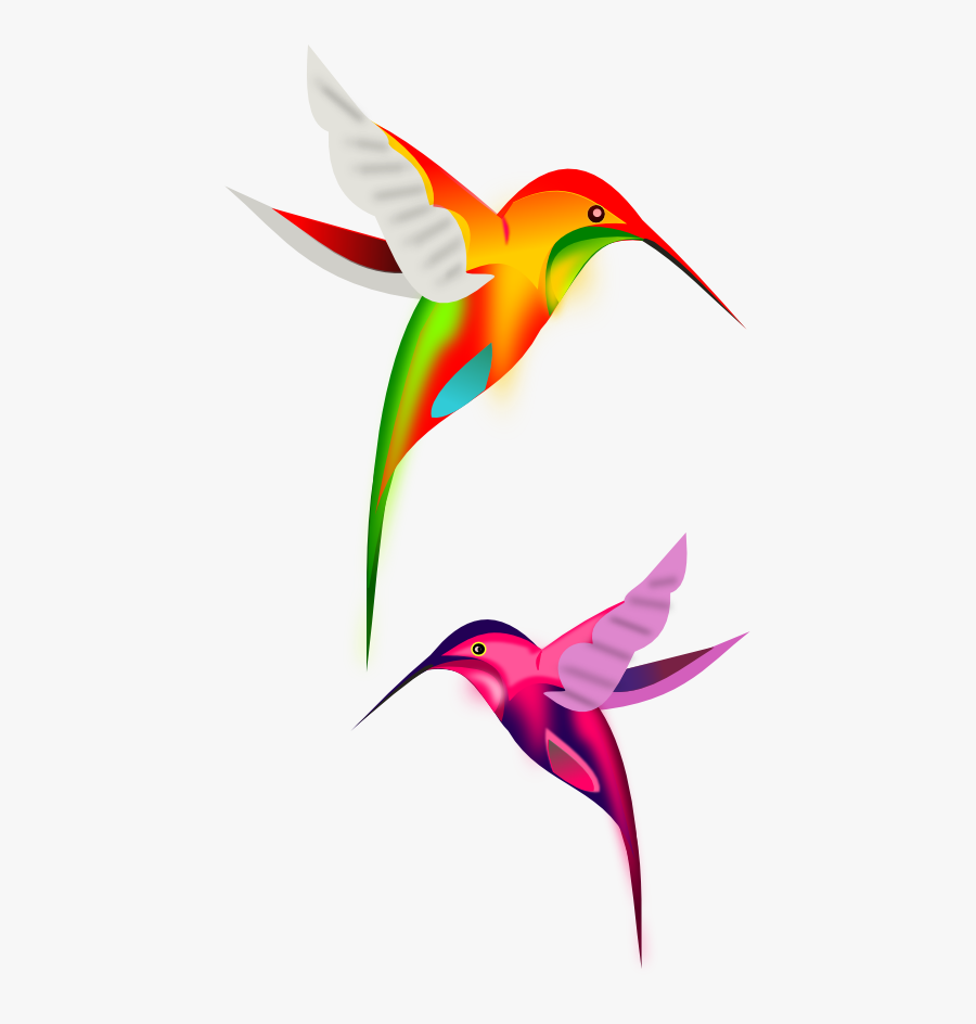Colibríes En Vectores - Birds Clipart, Transparent Clipart