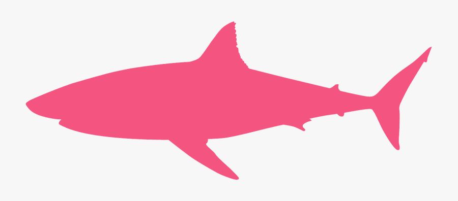 Carcharodon Megalodon, Transparent Clipart