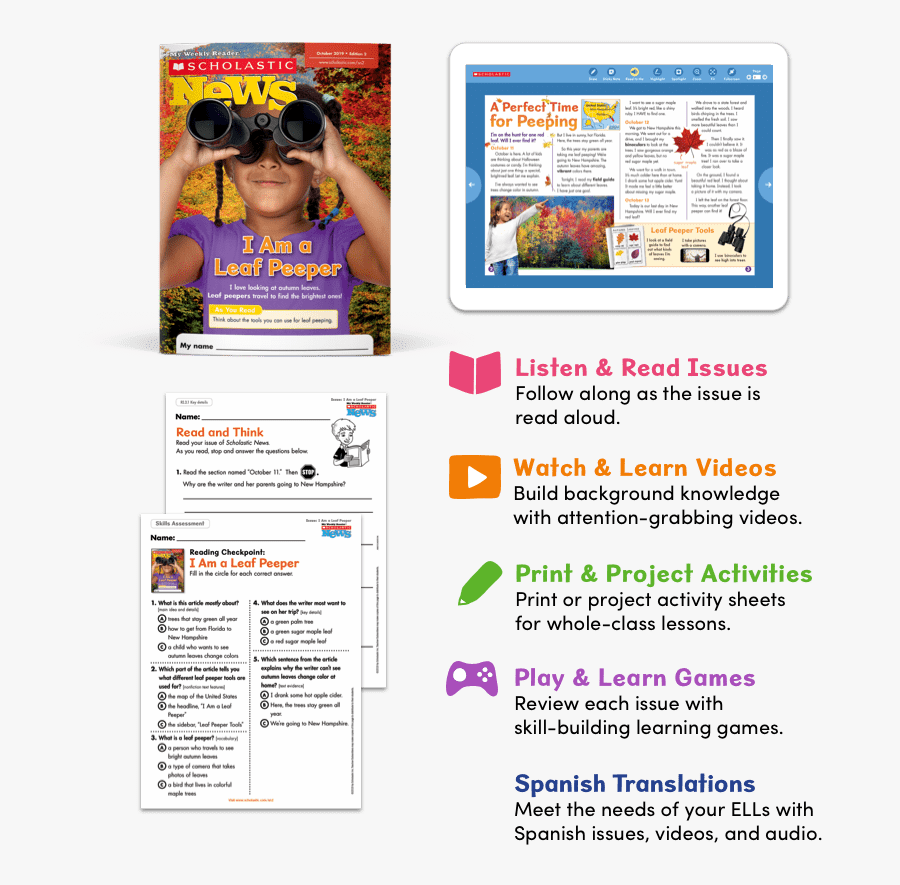Web Page, Transparent Clipart