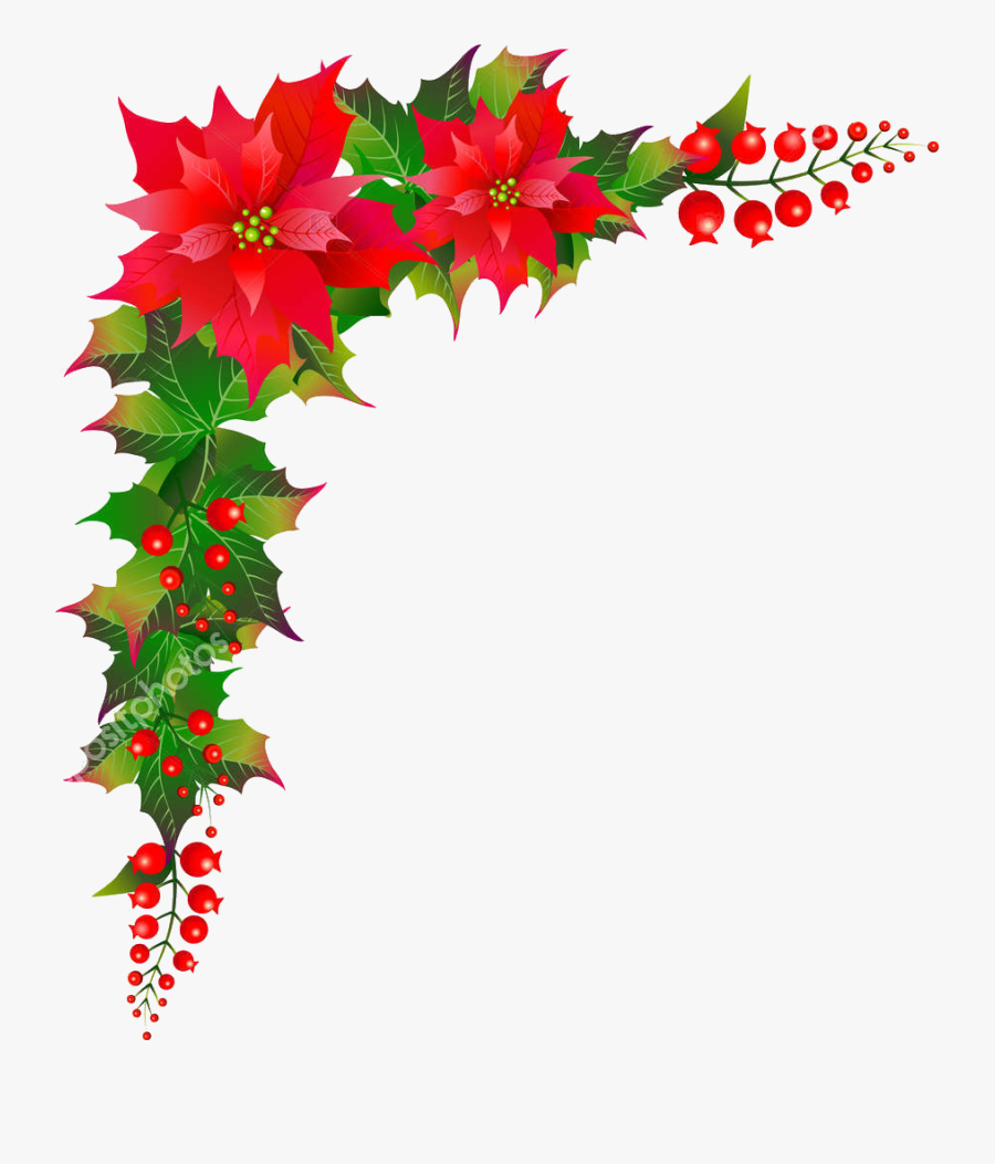 Loteria De Navidad Del Club Natación Guadalajara - Flore De Navidad Png, Transparent Clipart