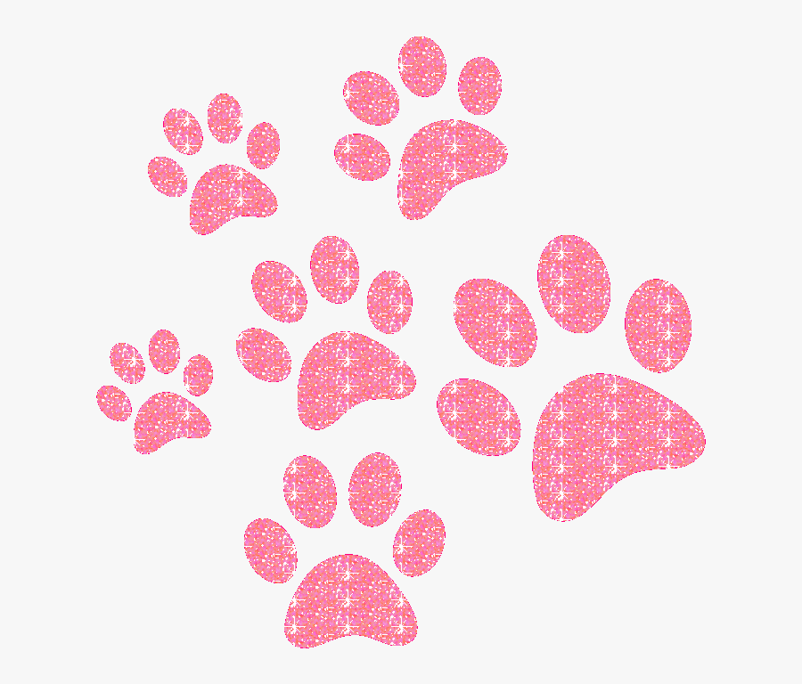 #paws #paw #glitteredit #puppy #pup #mysticker #sticker - National Veterinary Technician Week 2018, Transparent Clipart