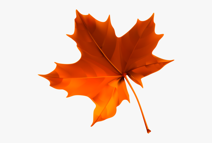 Fall Leaves Png Transparent, Transparent Clipart