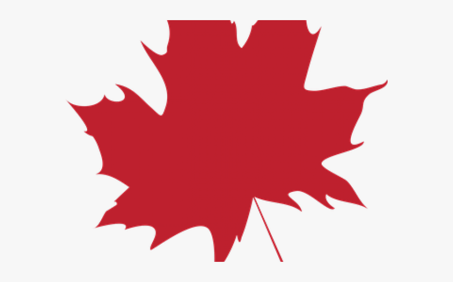 Leaf, Transparent Clipart