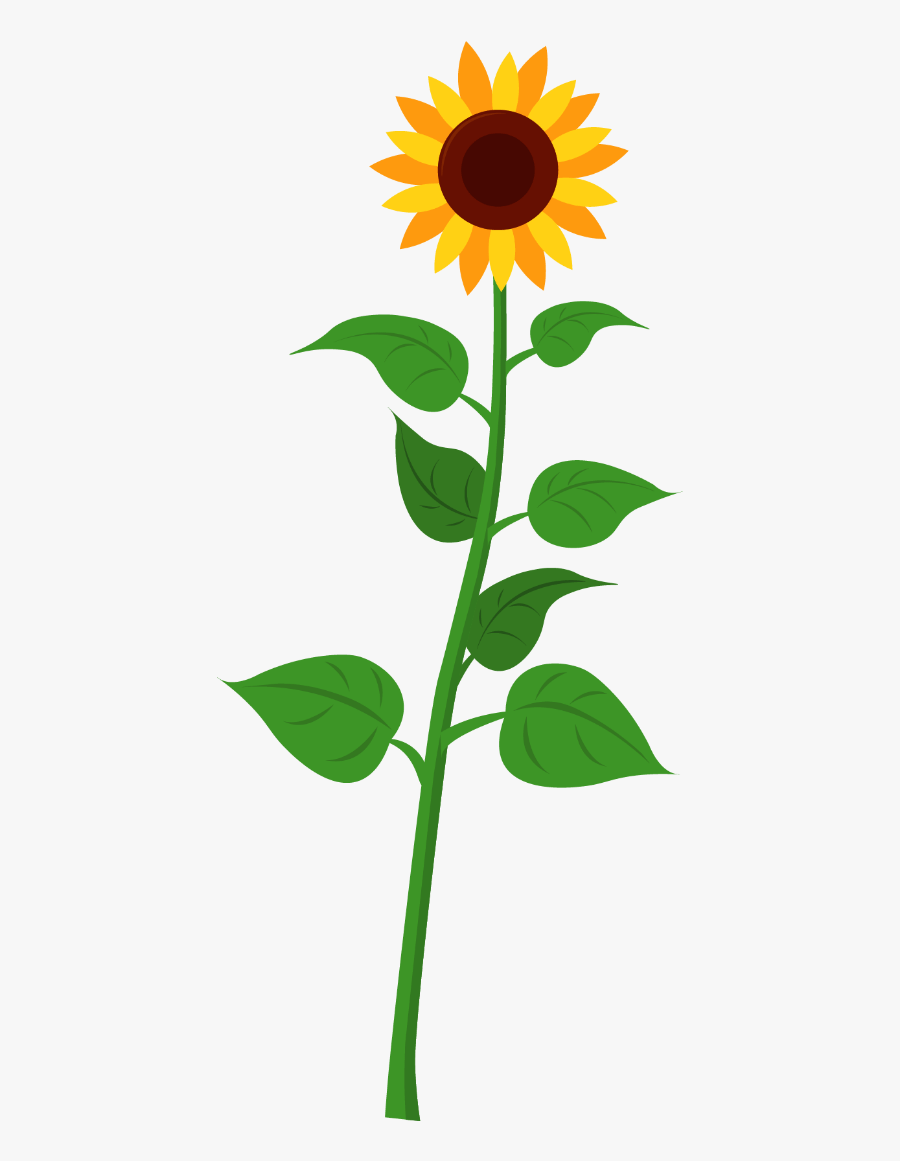 Sunflower - Cartoon Image Of Plant, Transparent Clipart