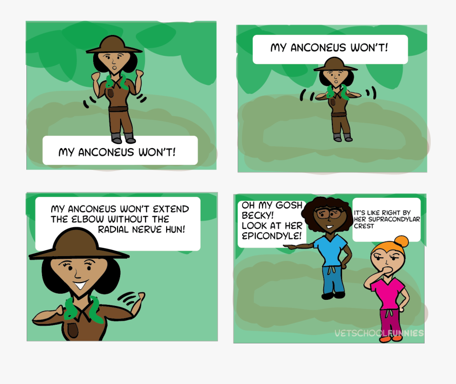 Cartoon, Transparent Clipart