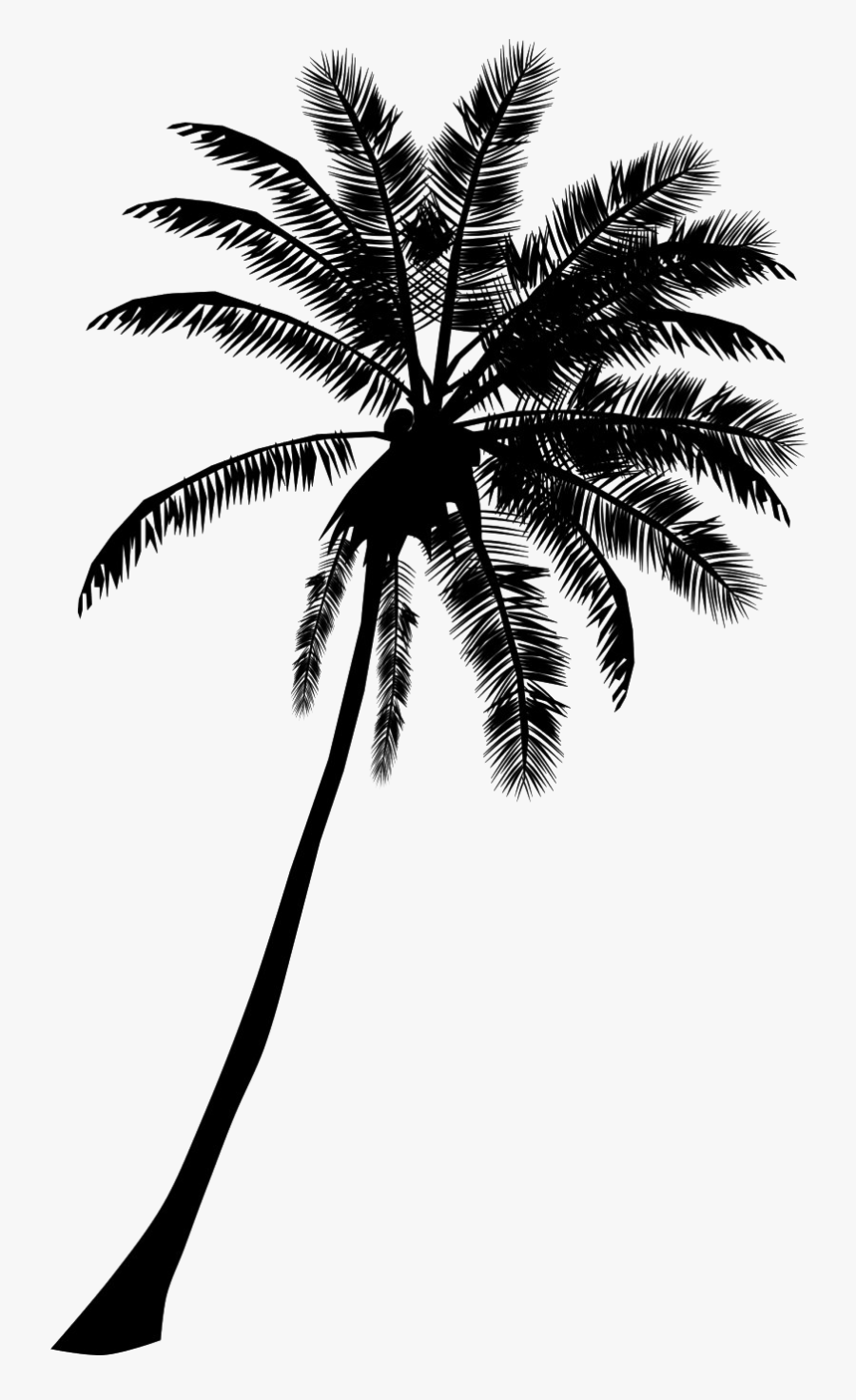 Black Palm Tree Png Hd Quality - Palm Tree Silhouette Clipart, Transparent Clipart