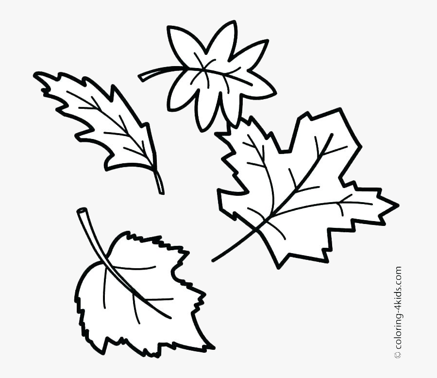 Leaf Outline Fall Outlines Autumn Maple Transparent - Autumn Leaves Drawing Easy, Transparent Clipart