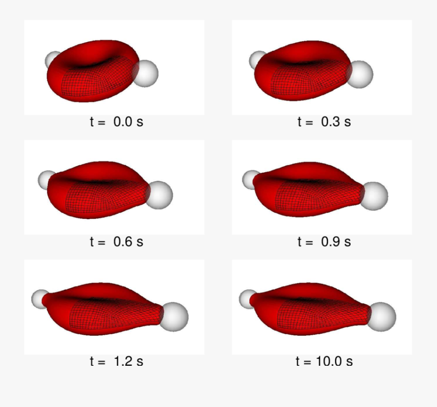 Evolution Of A Red Blood Cell - Red Blood Cell Bending, Transparent Clipart