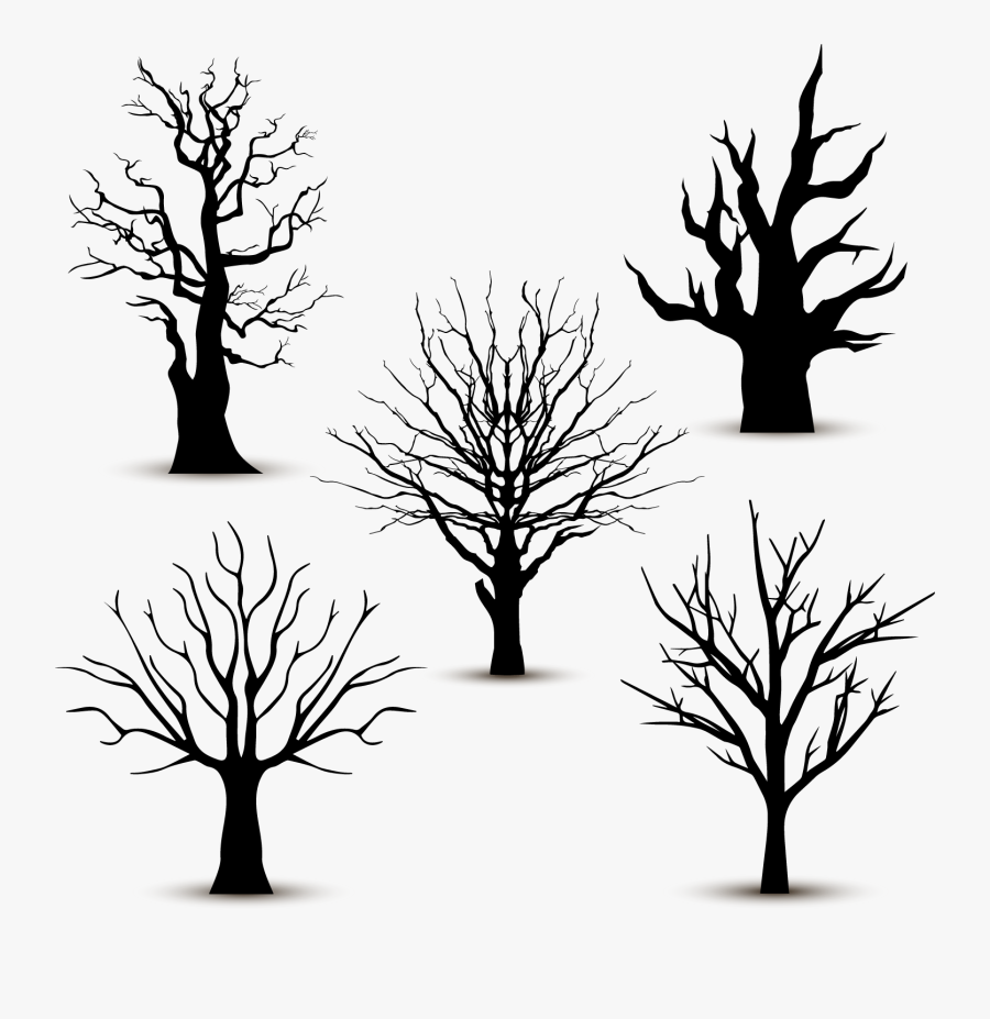 Tree Silhouette Euclidean Vector - Tree Without Leaves Clipart Png, Transparent Clipart