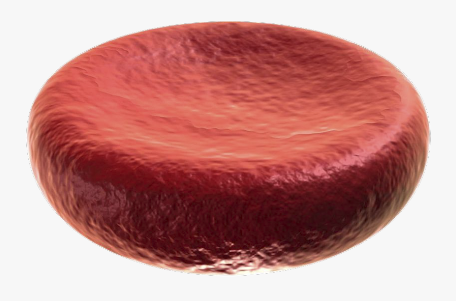 Red Blood Cell Diy, Transparent Clipart