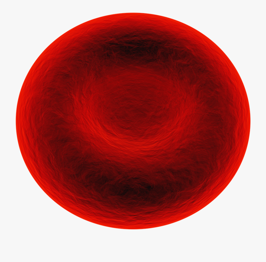 Circle, Transparent Clipart