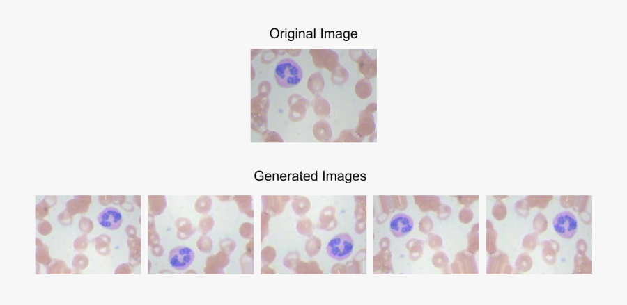 Data Augmentation Cell, Transparent Clipart