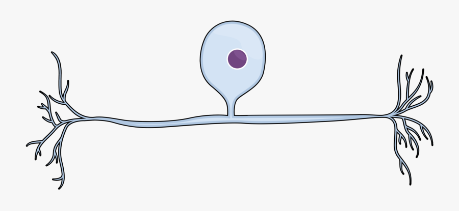 Slide - Drawing, Transparent Clipart