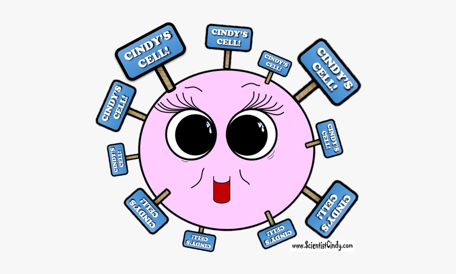 Picture, Transparent Clipart