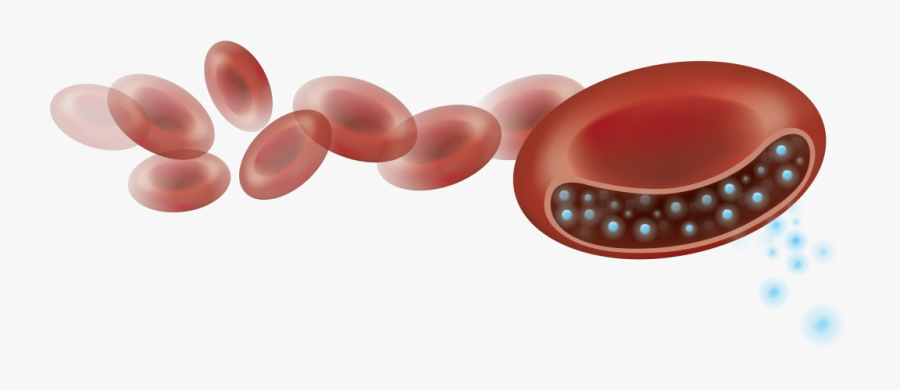 Circle, Transparent Clipart