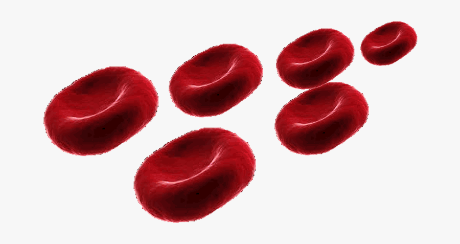 Red Blood Cells Transparent, Transparent Clipart
