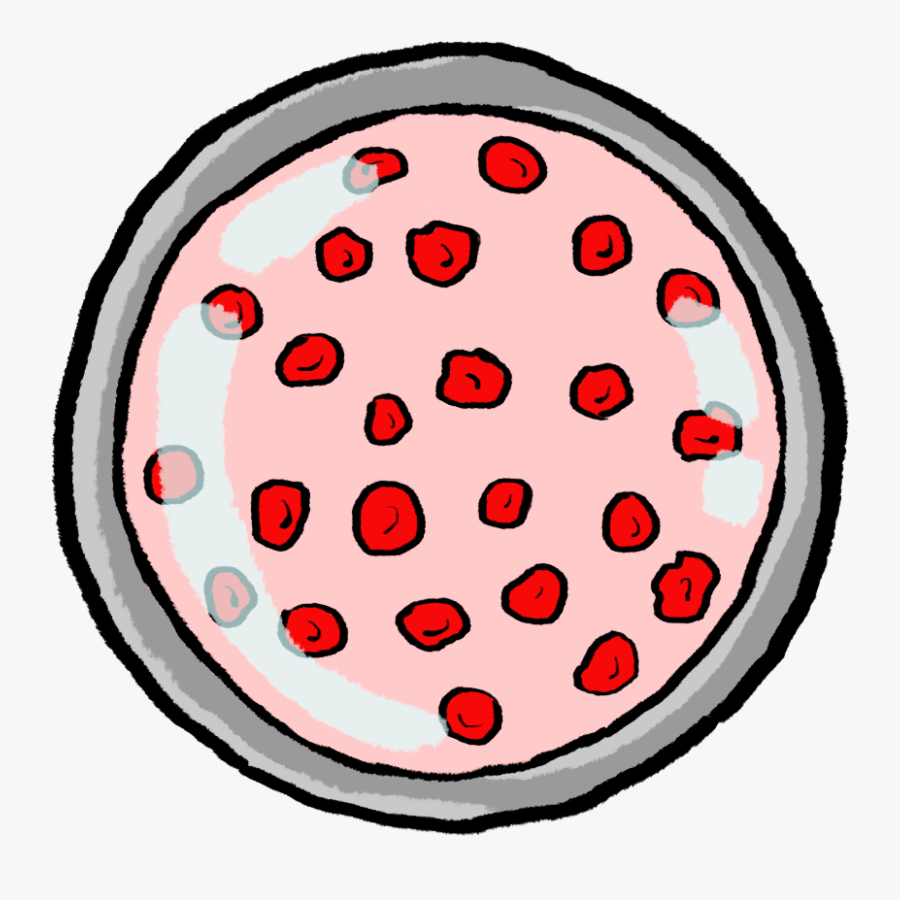 Petitbernat Analisis - Circle, Transparent Clipart