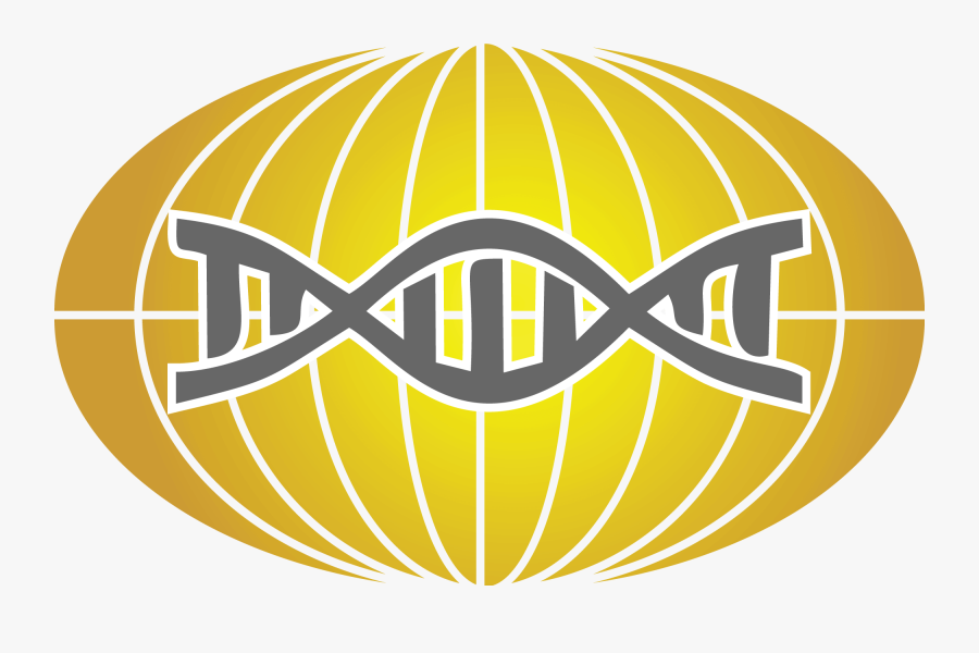 Fmf And Aid Global Association, Transparent Clipart