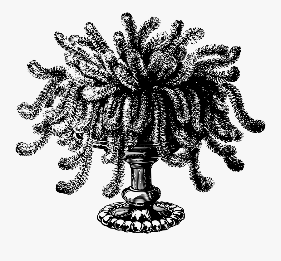 This Free Icons Png Design Of Potted Plant - Plant Nursery, Transparent Clipart