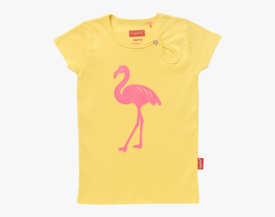 Greater Flamingo, Transparent Clipart