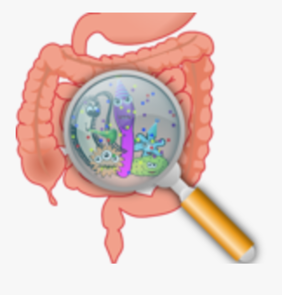 Malabsorption, Transparent Clipart
