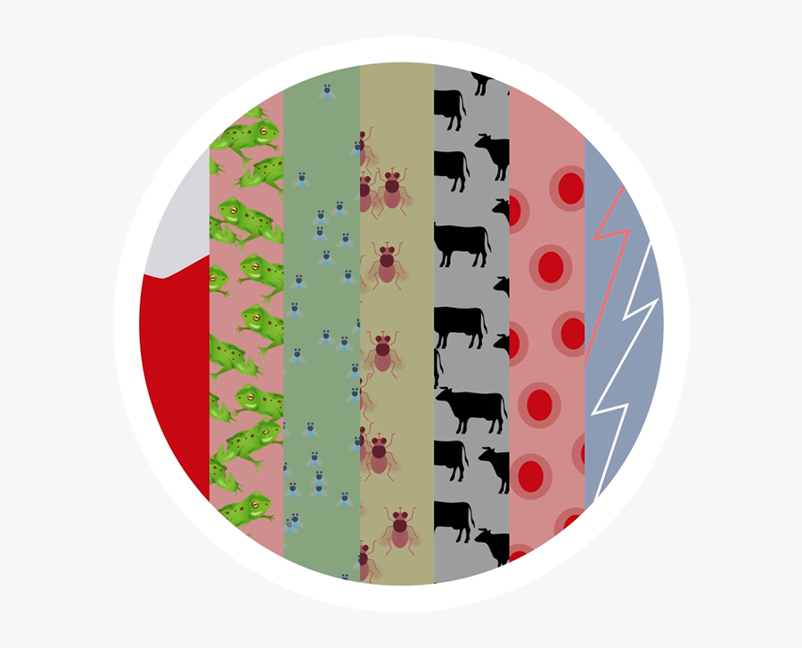 What Is Pass Over - Circle, Transparent Clipart