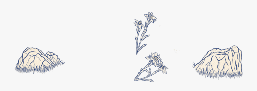 Sketch, Transparent Clipart