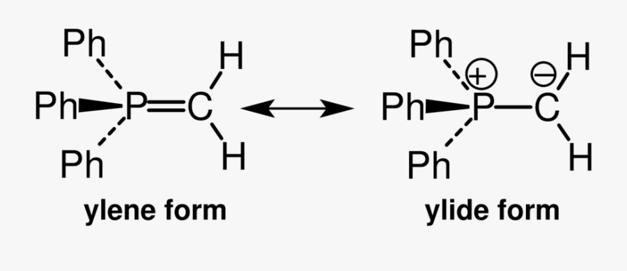 Circle, Transparent Clipart