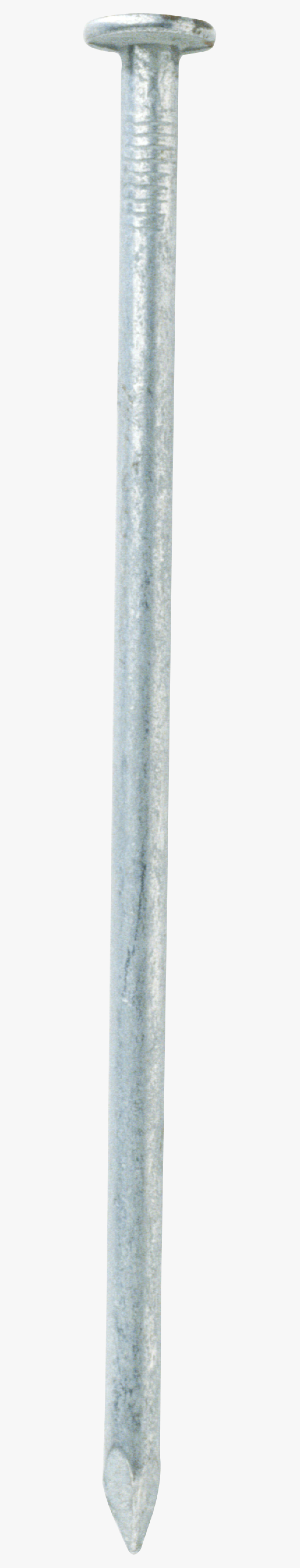 Vase, Transparent Clipart