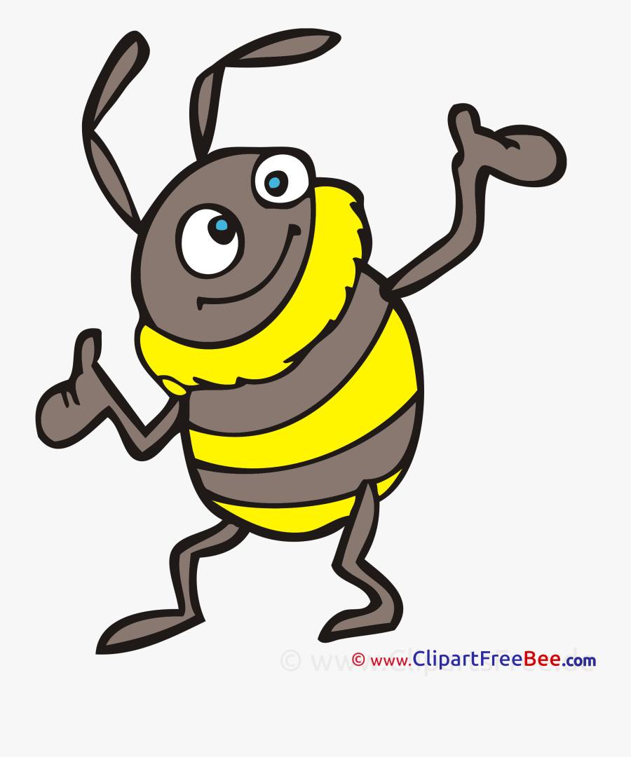 Bumblebee Clipart Clip Art - Clip Art, Transparent Clipart
