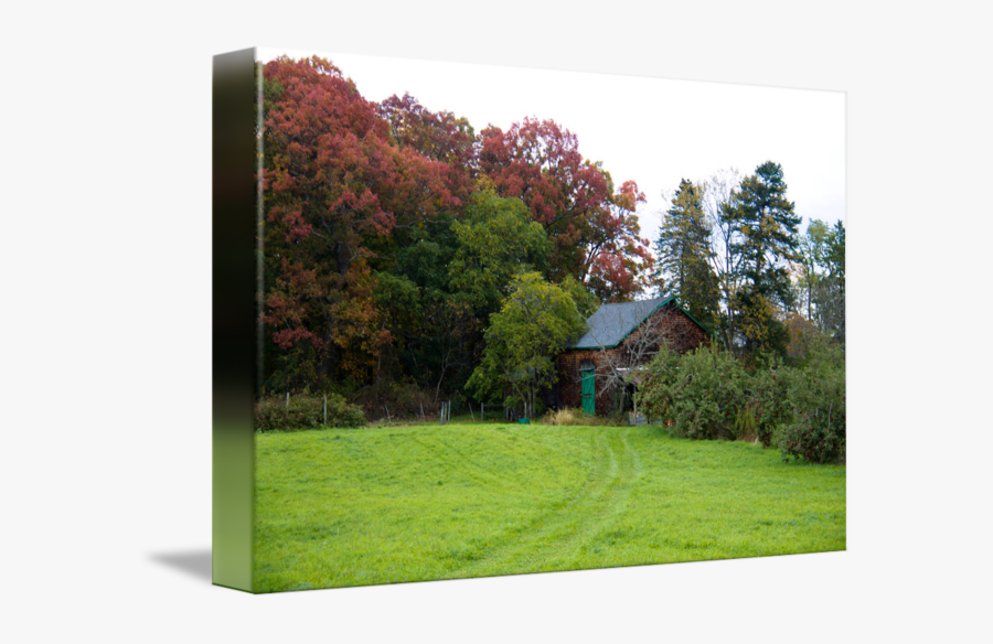 Clip Art Fall Scene By Valerie - Grass, Transparent Clipart