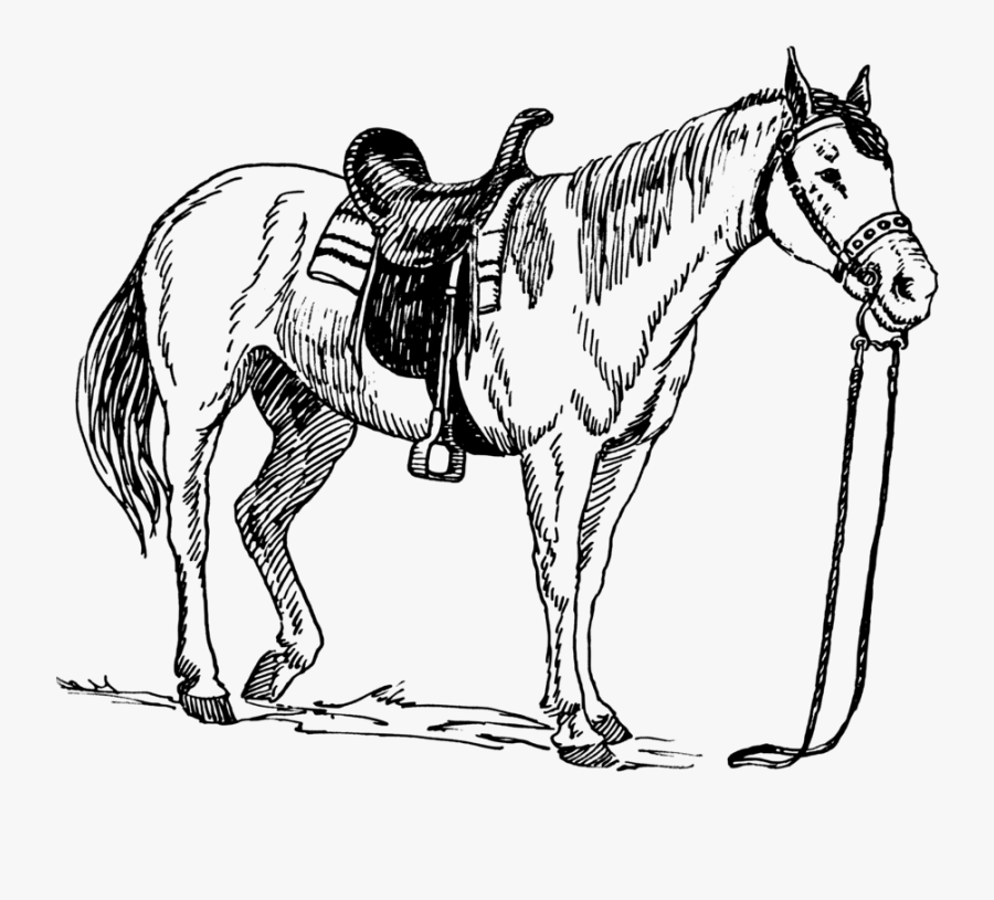 Quarter Drawing Clip Art - Horse Drawing With Saddle, Transparent Clipart