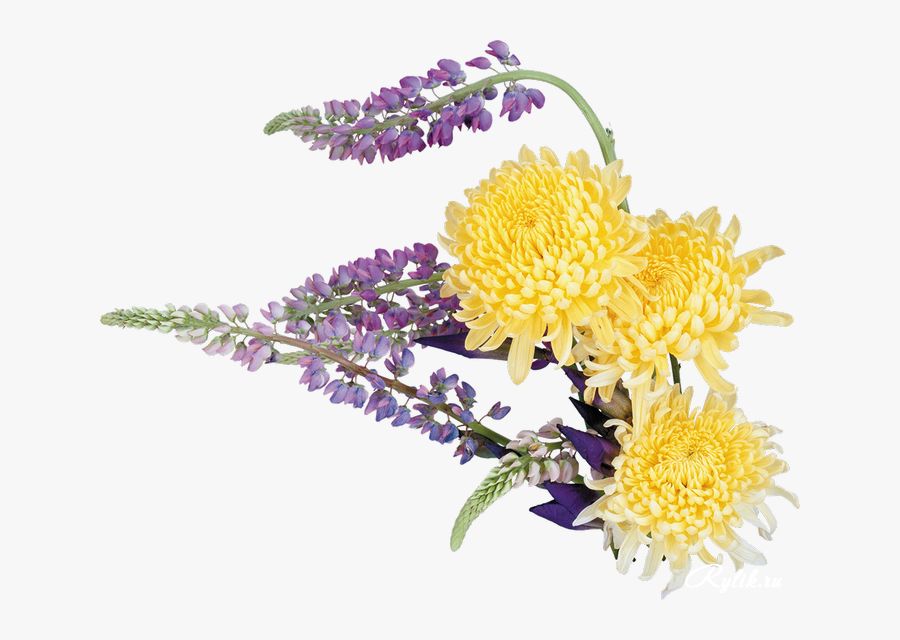 Хризантема Png Клипарт - Bouquet, Transparent Clipart