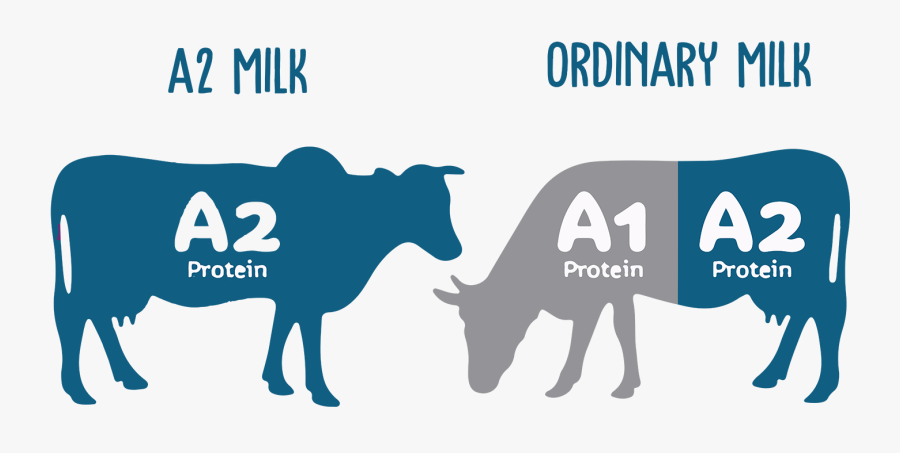 Sa2m3-01 - A2 Milk, Transparent Clipart