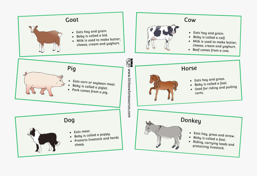 Transparent Free Farm Animal Clipart - Preschool Farm Animals Facts, Transparent Clipart